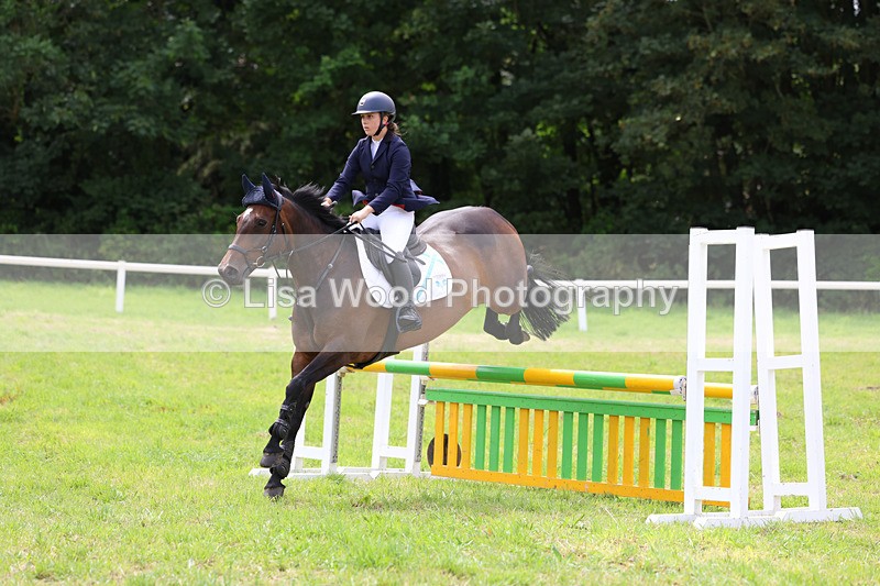 3E7A6963 - Class 5: Senior British Novice/90cm open