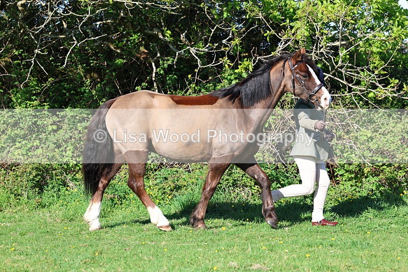 3E7A8328 - Class 12: M & M Small Breeds