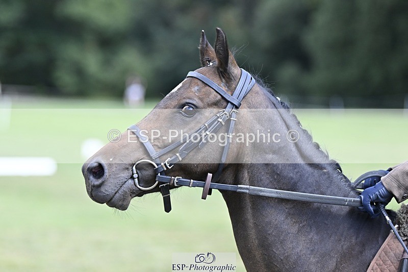 250822A-120507-22542 - DR 11.00 to 12.00