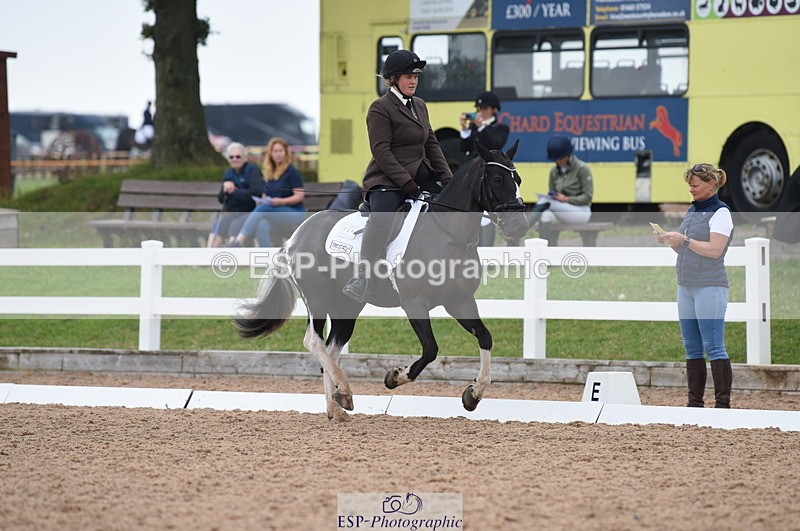 230708A-121004-01674 - Prelim 7