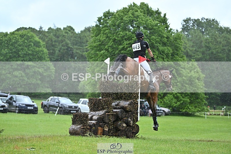 240526-134424-23067 - 443-FIGARO_DES_PREMICES-Alexander_Peternell