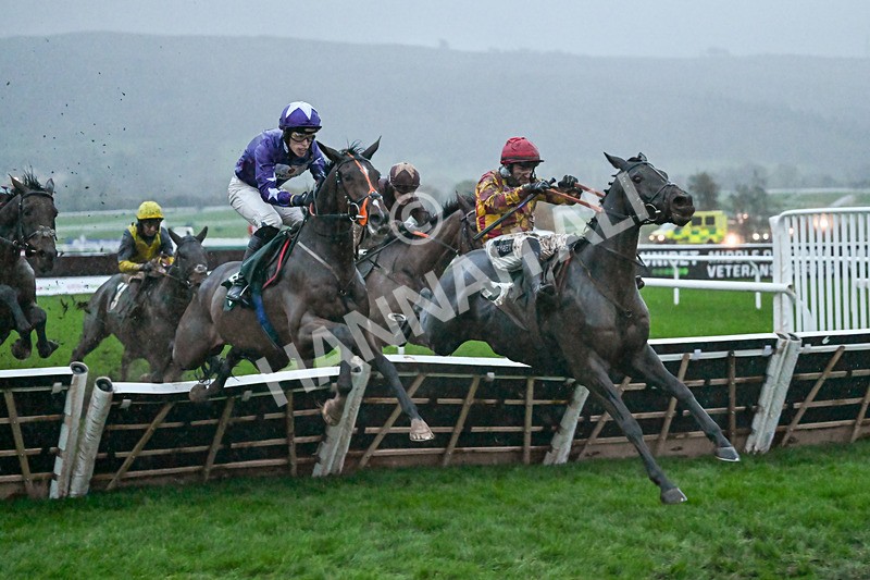 141125-Race 6-Frontier Prince-1511 - Race 6