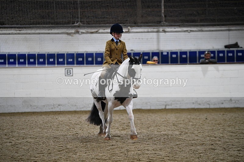 WJ5_7286 - Class 11 Ridden PC - RC Pony