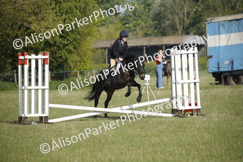 20250427-0330 - Class 12 - Rookie Jumping 40cm