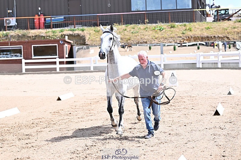 250716-124647-00161 - Trot Up 12.30 to 1.30