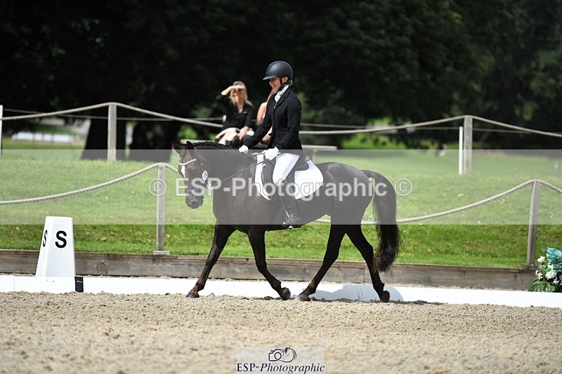 230812-121346-04063 - Cls 6 Novice Silver 12.10 to End