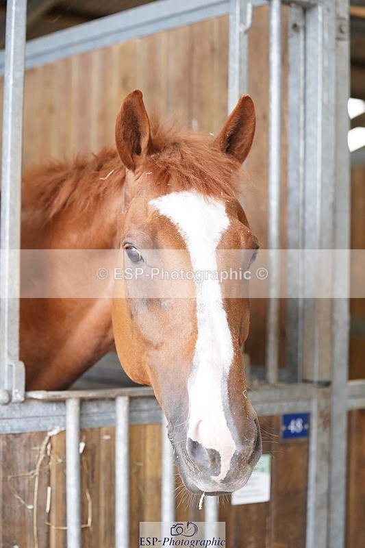 240809A-134604-01006 - Stable Shots