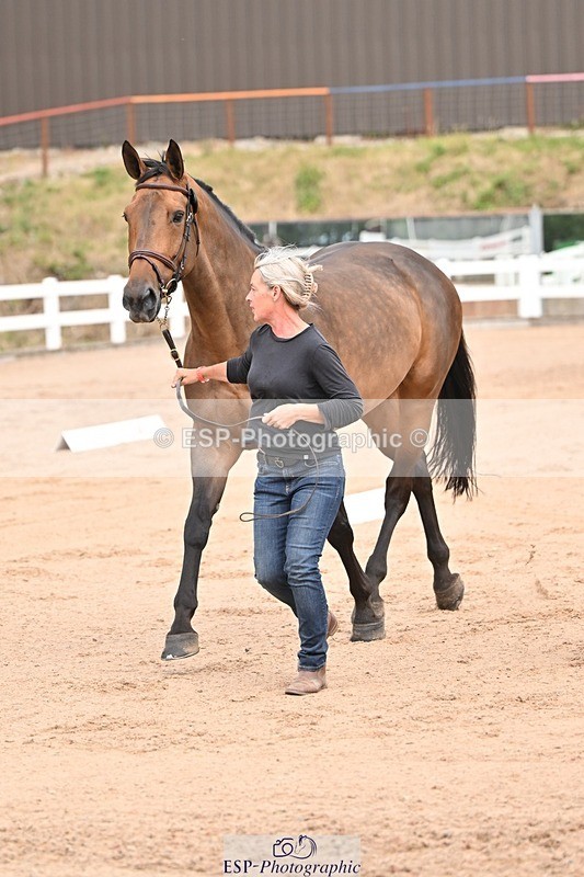 250716-150616-01625 - Trot Up 2.30 to 3.30