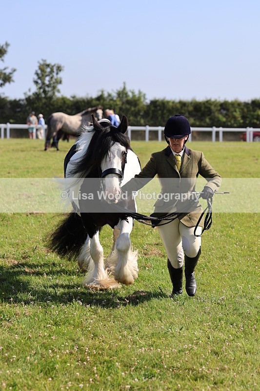 IMG_1595 - Class 30: Ridden Native/Trad Coloured Pony