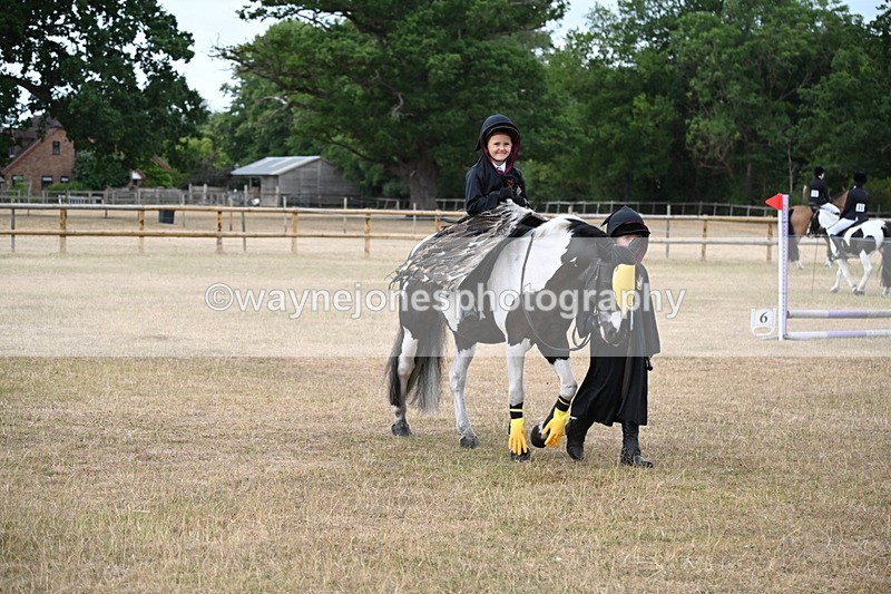 WJ6_8752 - Class 11 Fancy Dress