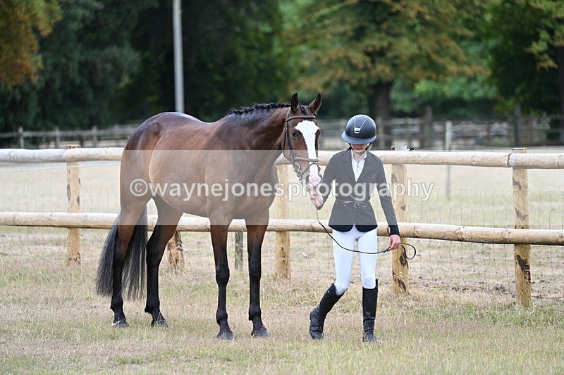 WJ7_8780 - Class 4a Prettiest Mare 14.2hh and over