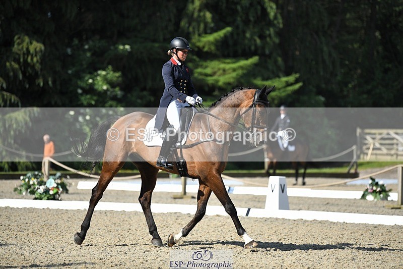 230525-092459-01593 - 305-BARRINGTON_57-Izzy_Taylor-WEDTrotUp+DR