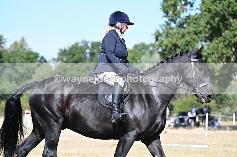 WJ7_9899 - Time 11:03 to 11:28