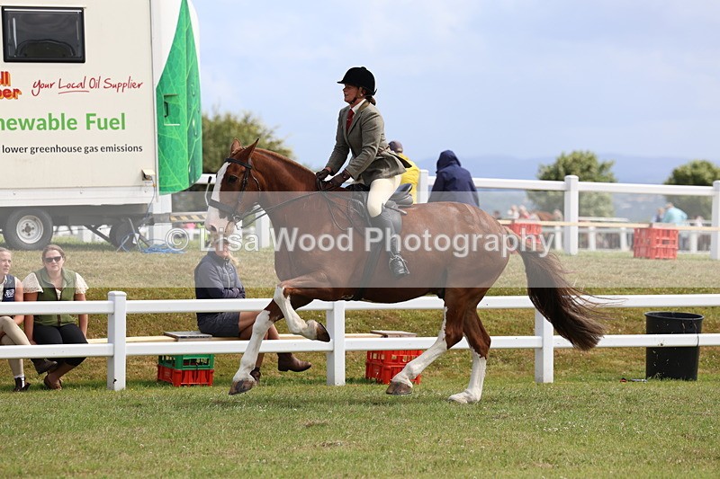 3E7A0210 - Class 6: Rising Star Maxi Cobs