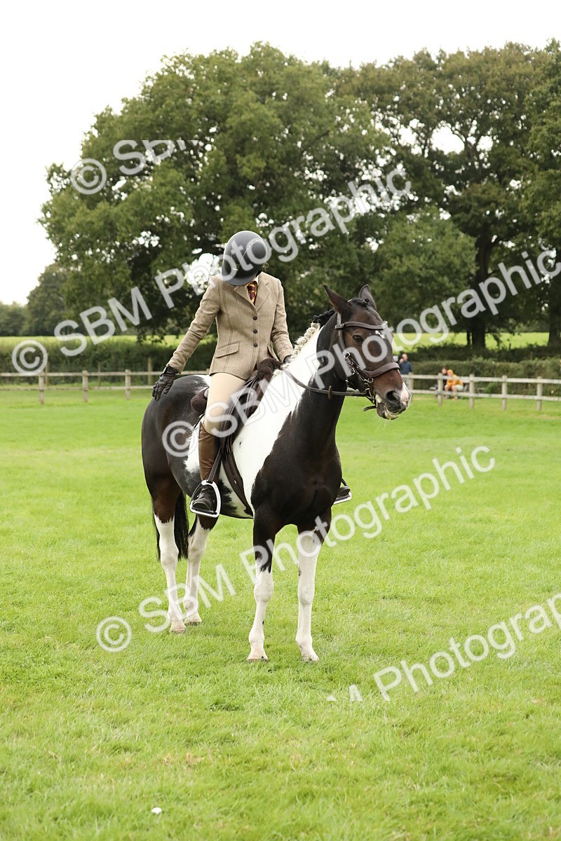 SBM_73778 - S41 - Ridden Equitation (Best Rider)