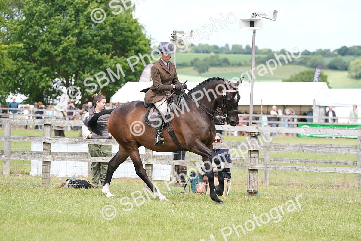 SBM_16241 - Class 105-106 - RIHS Riding Horses