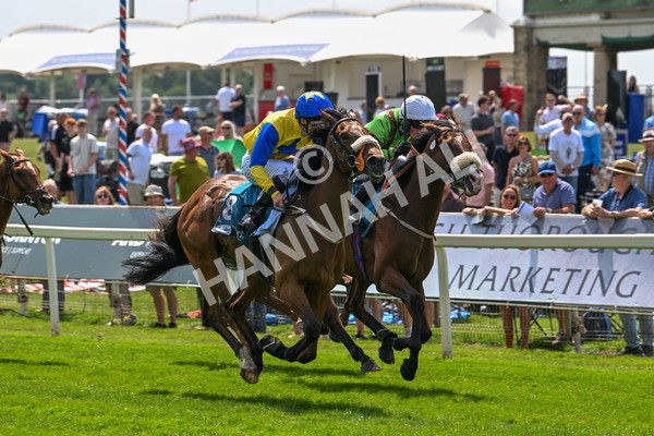 130625-Race 1-Feel The Need-8367 - Race 1 1.50pm Andy Thornton Hospitality Furniture Apprentice Handicap