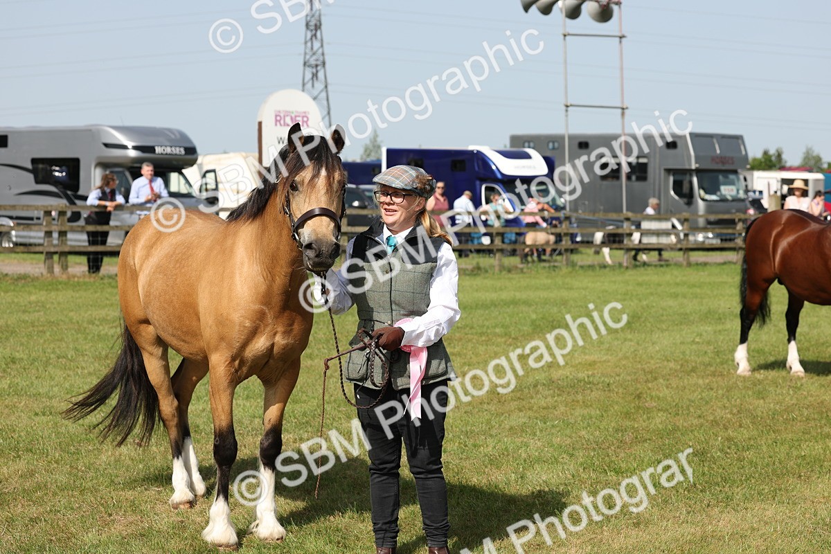 SBM_02170 - Class 6-13 - Mountatin and Moorland In Hand Welsh Breeds