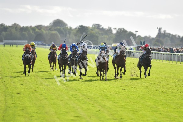 141023-Race 2-Whiskey Pete-0753 - Race 2 1.50pm Play Coral 'Racing-Super-Series' For Free Nursery Handicap