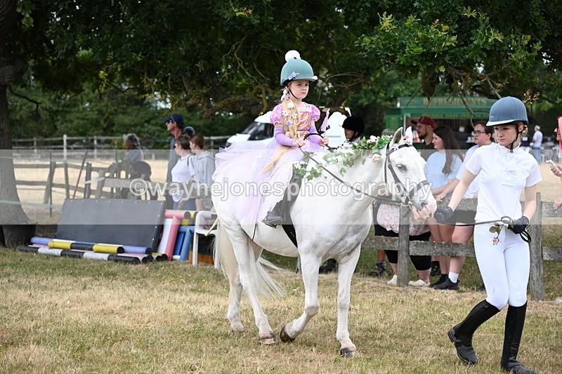WJ6_4638 - Class 11 Fancy Dress