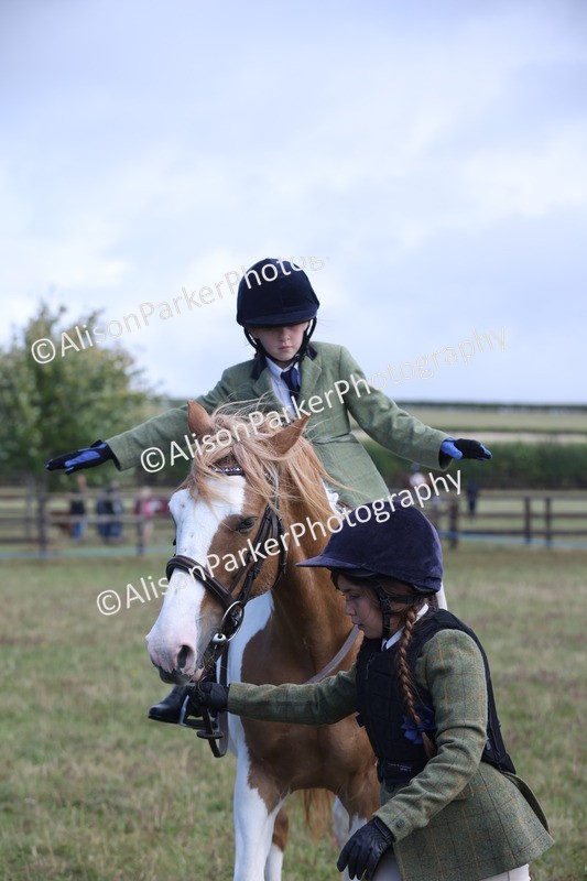 20250831-2458 - Class 16 - Family Pony