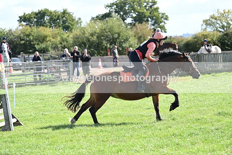 WJ7_1354 - Time 13:56 to 14:24