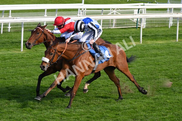 yr13052021r7-23 - Race 7 4.50pm Autohorn Stakes