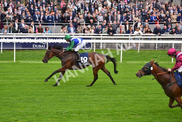 yr07102022r2-20 - Race 2 2.40pm William Hill Autumn Mile