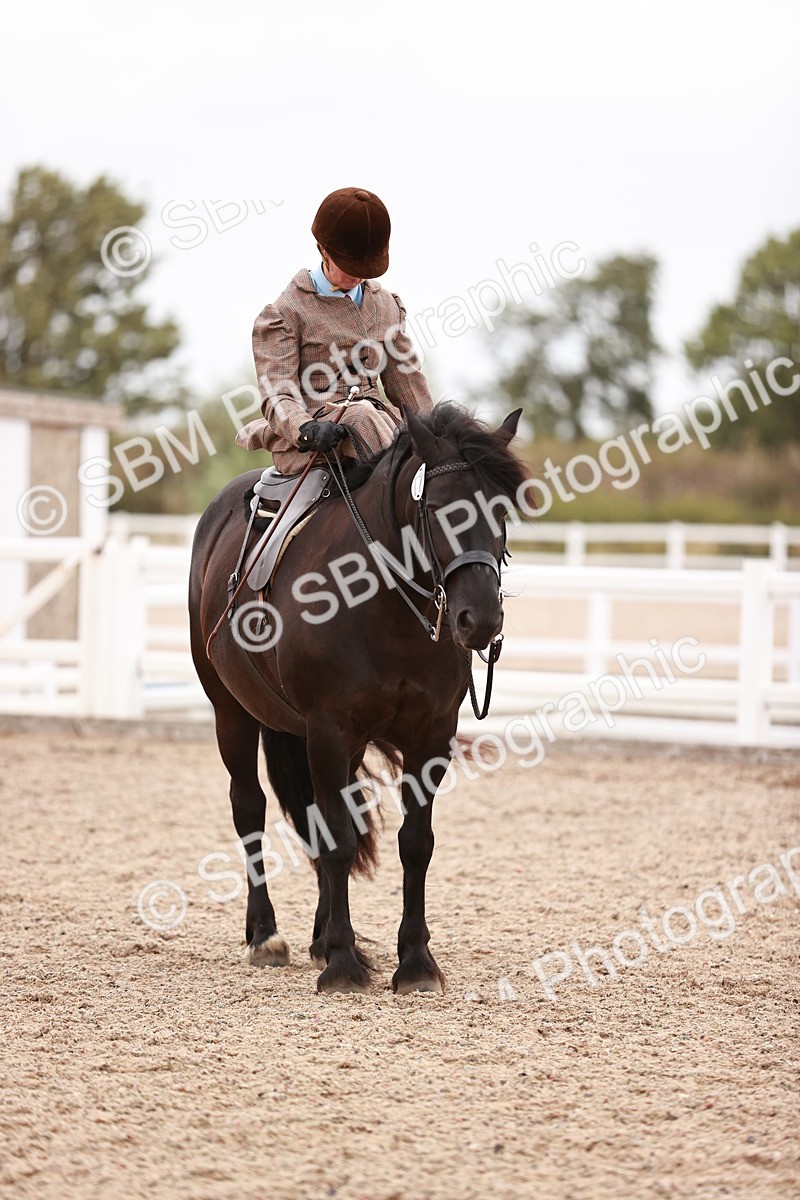 SBM_19049 - Class 422 - Ridden M&M