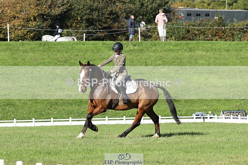 251024A-112117-09957 - D-351-Thomas.Harris