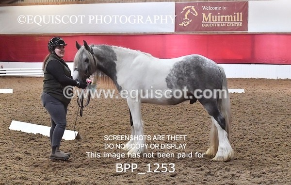 BPP_1253 - MORNING 9AM - 12PM