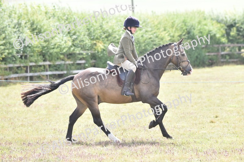 20250831-3977 - Class 12 - Working Hunter Pony 14.2hh and Under