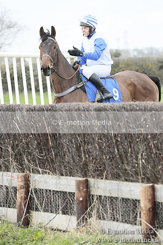 PtP 230319 54 - VWH Hunt Siddington Point-to-Point Racing 23/03/19
