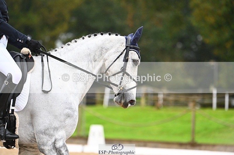 231021-104241-14714 - 332-COR.Y.TARAN-Toots.Bartlett-DR