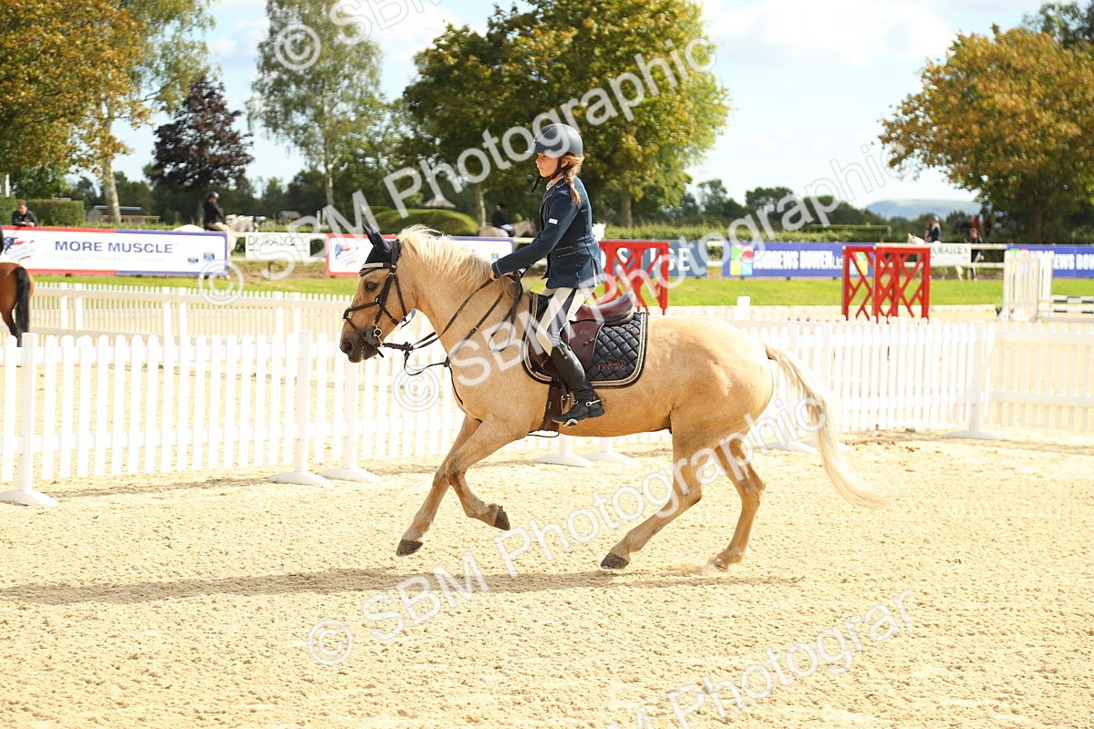 SBM_46311 - Supreme Championship - AM