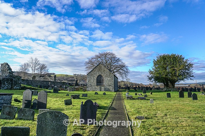 ACP02052-1 - Strata Florida Abbey