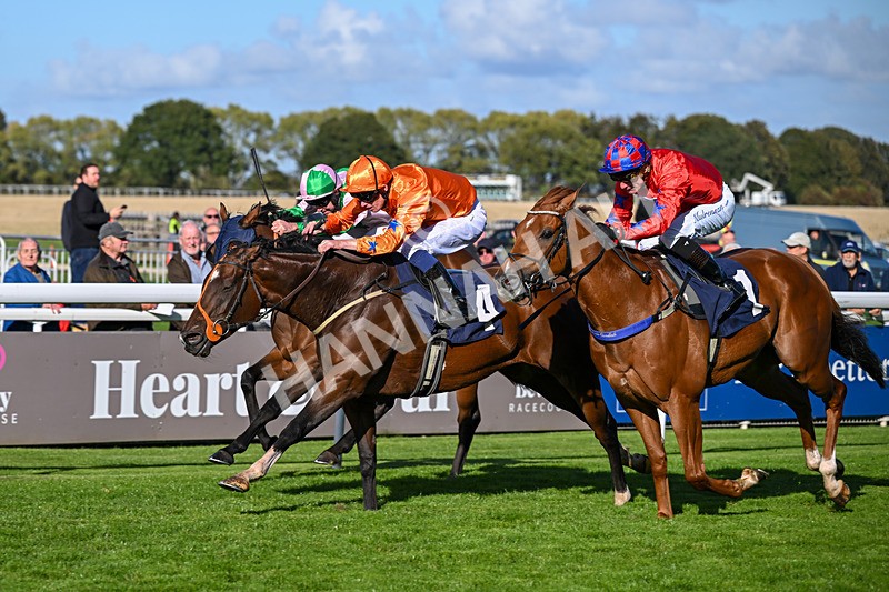 230925-Race 4-Elegant Erin-0684 - Race 4