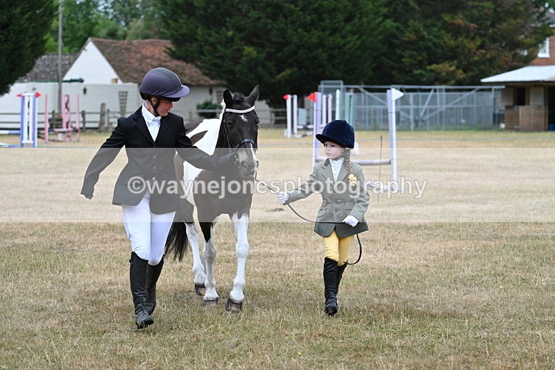 WJ7_9574 - Class 5 Most Handsome Gelding (up to 14.2hh)