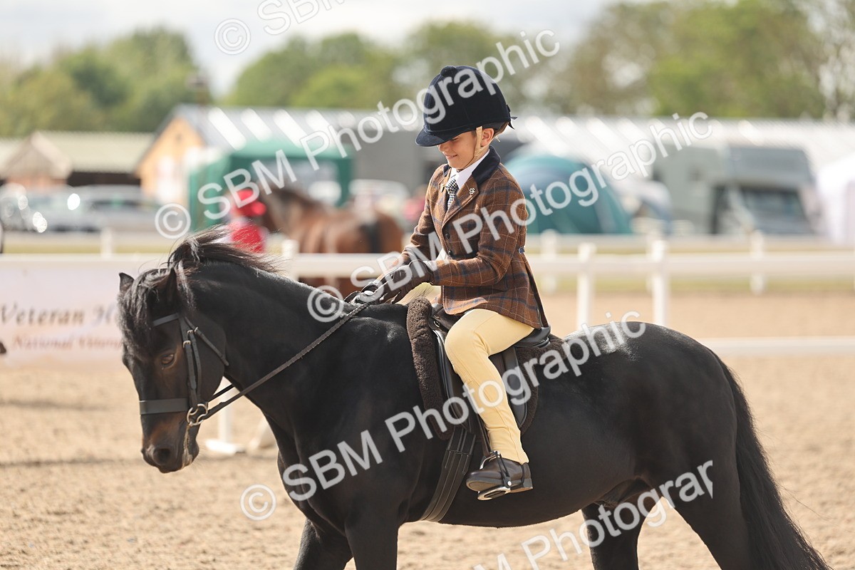 SBM_15904 - Class 310 - First Ridden Pony