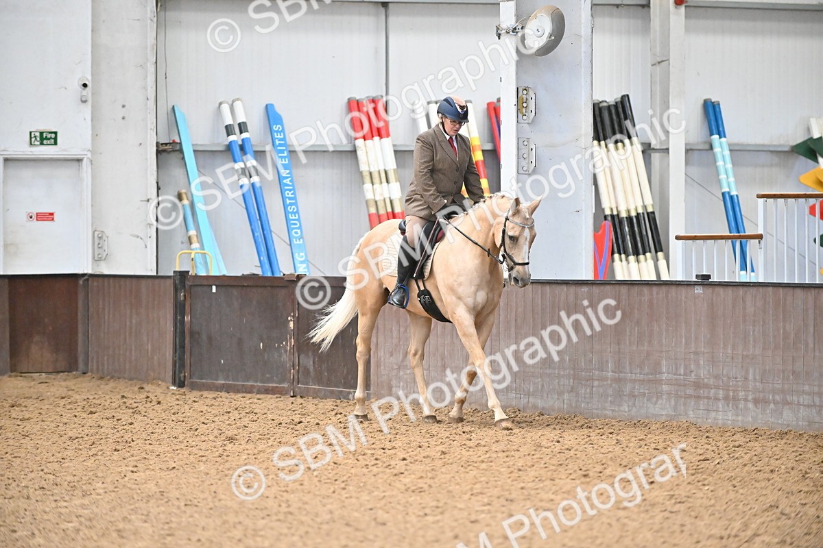 SBM_001444 - Class 19,20 - Ridden Native, Foreign Breeds & Warmbloods