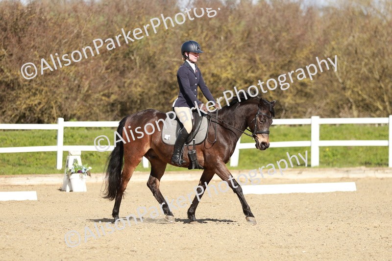 20260314-4322 - DR4 - Prelim 2