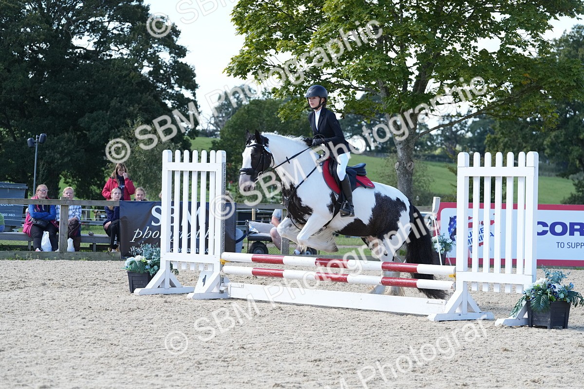 SBM_38821 - J21 - Junior Horse 60cm Championship