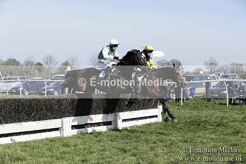 PtP 260317 81 - Mendip Farmers Point-to-Point Ston Easton 26/03/17