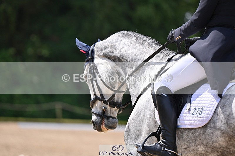 250523A-120437-06727 - C-278-Harriet.Wright-MBF.UP.NORTH