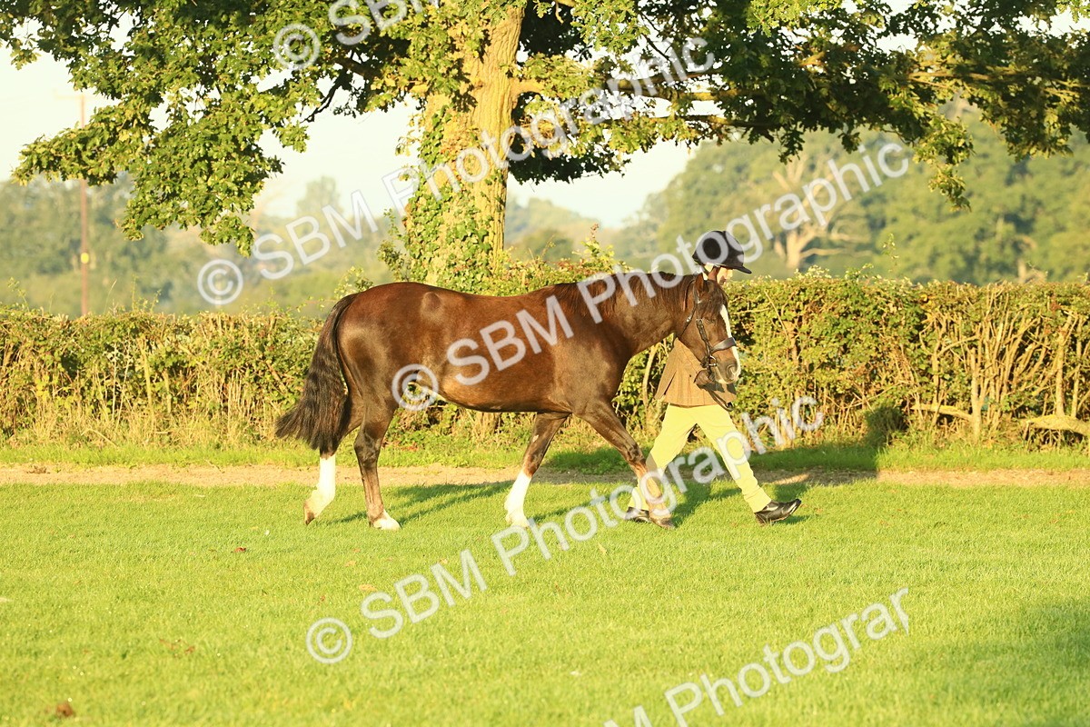 SBM_56498 - S36 - Starters Best Turnout