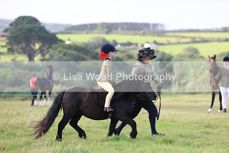 3E7A3500 - Class 2: Lead rein