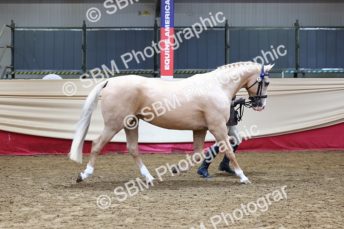 SBM_22132 - Class 902 - Supreme Final - IH Diamond