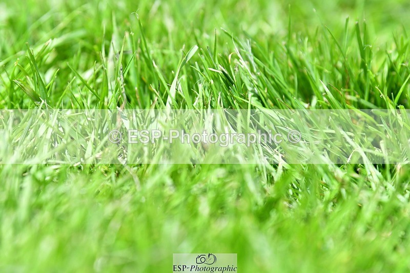 230706-134433-02452 - Cls 2 Foxhunter & 1.20m Open