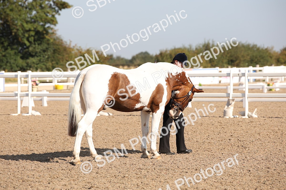 SBM_01459 - Class 15 IH Coloured