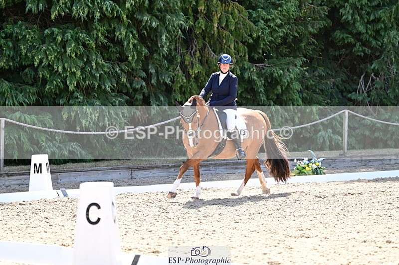 260731A-111736-00300 - Elementary Bronze 10.30 - Break